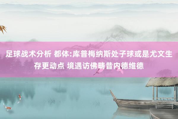 足球战术分析 都体:库普梅纳斯处子球或是尤文生存更动点 境遇访佛畴昔内德维德