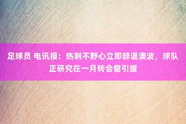 足球员 电讯报：热刺不野心立即辞退澳波，球队正研究在一月转会窗引援