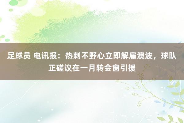 足球员 电讯报：热刺不野心立即解雇澳波，球队正磋议在一月转会窗引援