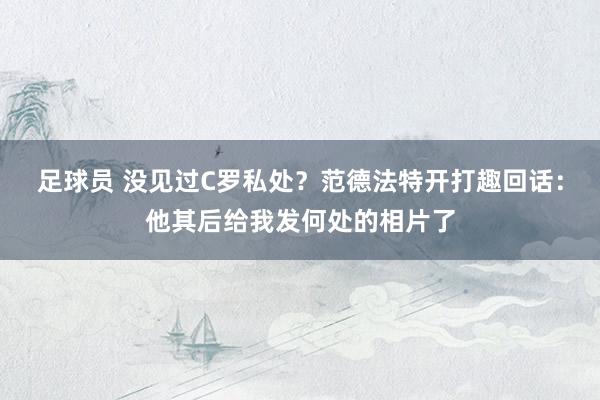 足球员 没见过C罗私处？范德法特开打趣回话：他其后给我发何处的相片了