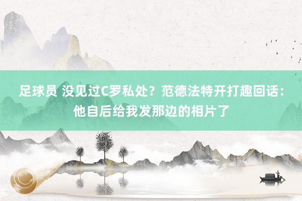 足球员 没见过C罗私处？范德法特开打趣回话：他自后给我发那边的相片了