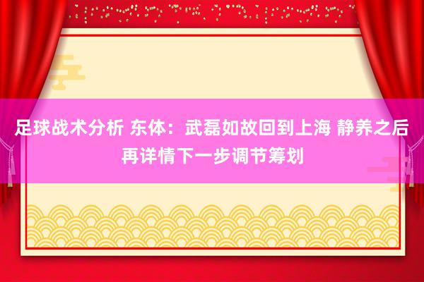 足球战术分析 东体：武磊如故回到上海 静养之后再详情下一步调节筹划