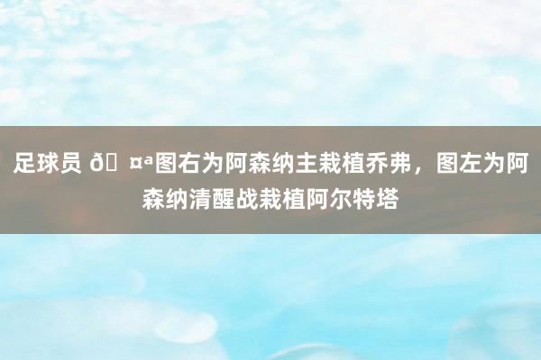 足球员 🤪图右为阿森纳主栽植乔弗，图左为阿森纳清醒战栽植阿尔特塔